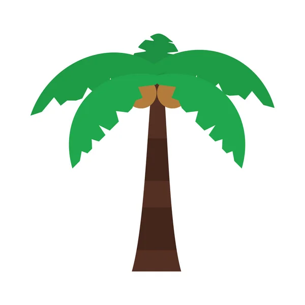 Icône de palmier tropical, style plat — Image vectorielle