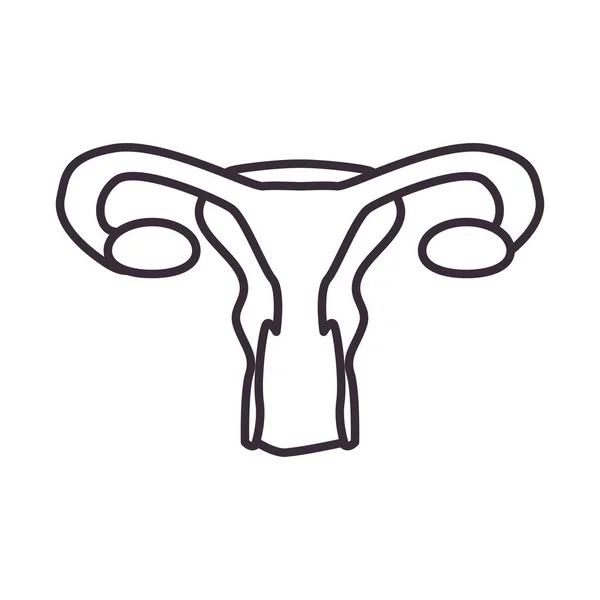 Weibliche reproduktive System Linie Stil-Symbol Vektor-Design — Stockvektor