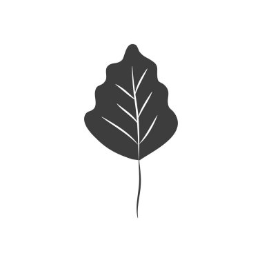 huş ağacı yaprağı simgesi, siluet biçimi