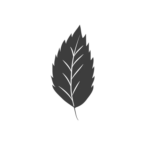 Concepto de hojas de otoño, icono de la hoja de olmo, estilo de silueta — Vector de stock