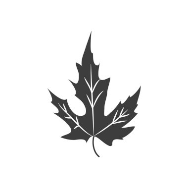 Sonbahar akçaağaç yaprağı, siluet tarzı