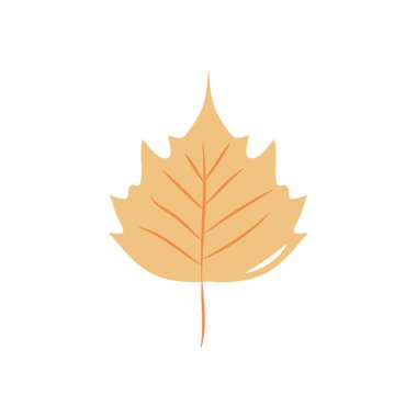 huş ağacı yaprağı simgesi, düz stil