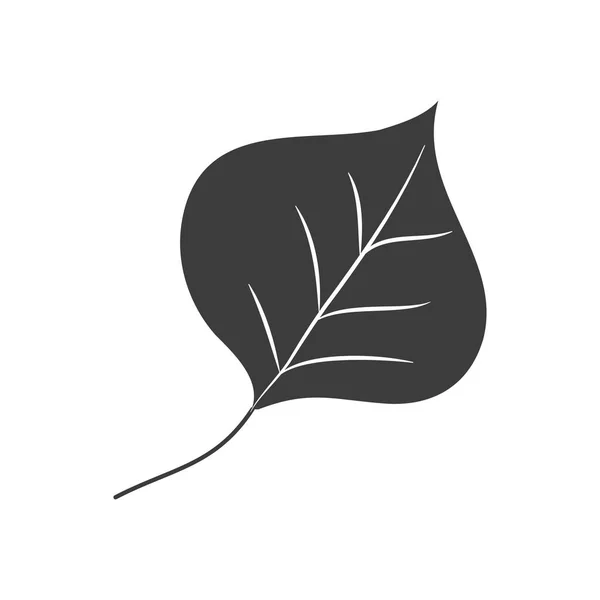 Concepto de hojas de otoño, icono de hoja de álamo, estilo silueta — Vector de stock