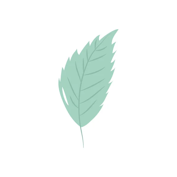 Concept de feuilles d'automne, icône de feuille de charme, style plat — Image vectorielle