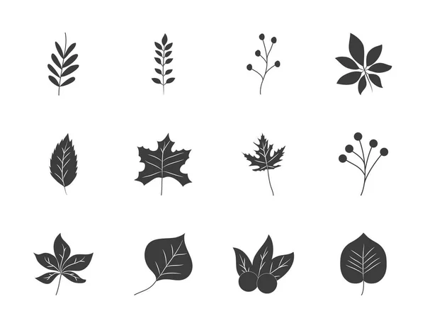 Icono conjunto de hojas de arce y hojas de otoño, estilo silueta — Vector de stock