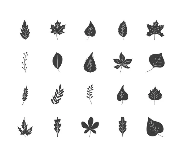 Ikonkészlet száraz levelekből és őszi levelekből, sziluett stílusban — Stock Vector