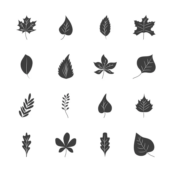 Icono conjunto de hojas de rowan y hojas de otoño, estilo silueta — Vector de stock