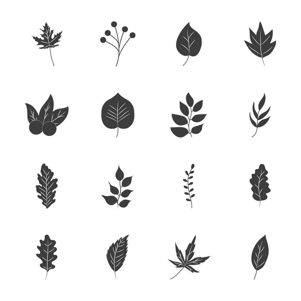 Hoja de tilo y hojas de otoño icono conjunto, estilo silueta — Vector de stock