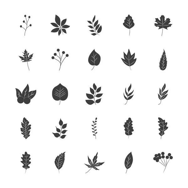 Hojas secas y conjunto de iconos de hojas de otoño, estilo silueta — Vector de stock