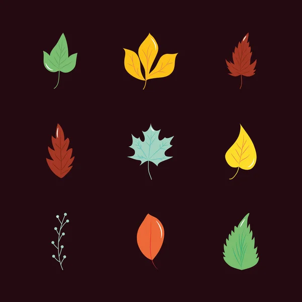 Ahornblatt und Herbstblätter Icon Set, flacher Stil — Stockvektor