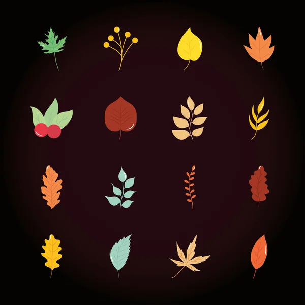 Hoja de tilo y hojas de otoño icono conjunto, estilo plano — Archivo Imágenes Vectoriales