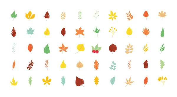 Icono conjunto de hojas de otoño, estilo plano — Archivo Imágenes Vectoriales