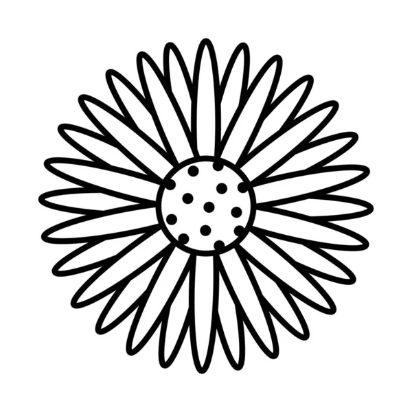 Solros ikon bild, linje stil — Stock vektor