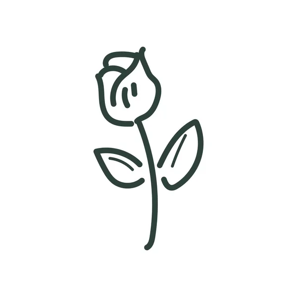 Růže linie styl ikony vektor design — Stockový vektor