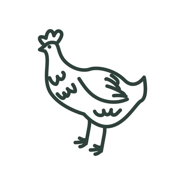 Design vettoriale icona stile linea di pollo — Vettoriale Stock