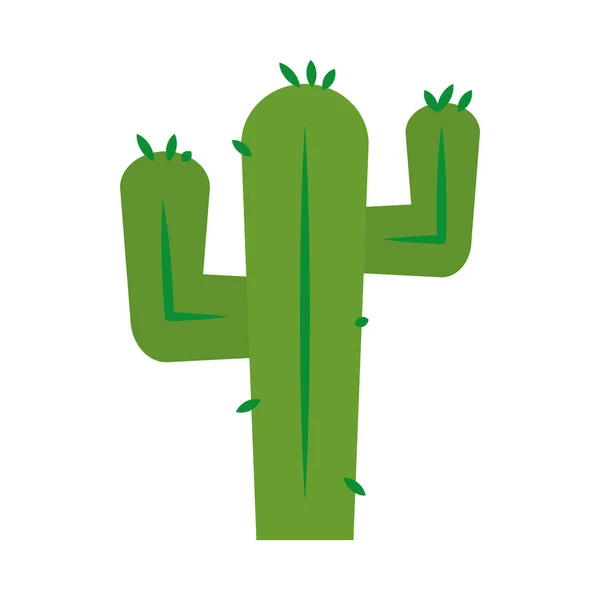 Icône de cactus mexicain, style plat — Image vectorielle