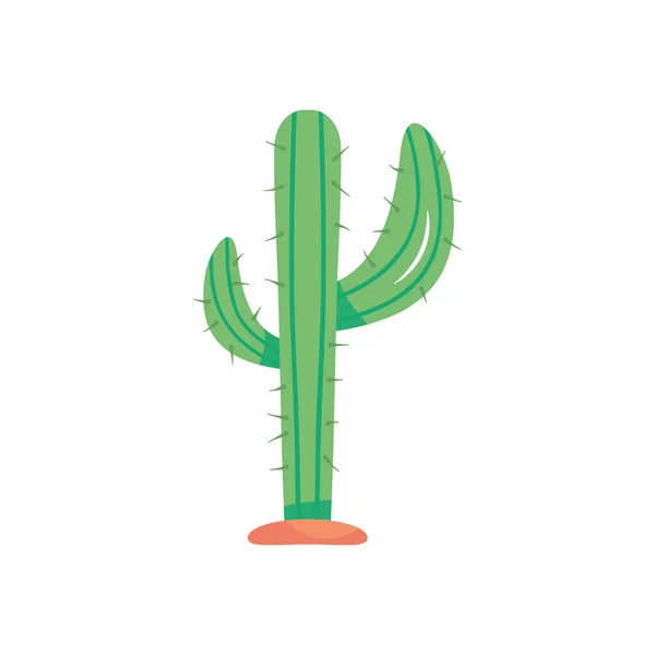 Cactus plant icon, colorful design — Stock Vector