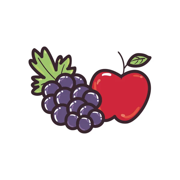 Línea de fruta de manzana y uvas y diseño de vectores icono de estilo de relleno — Archivo Imágenes Vectoriales