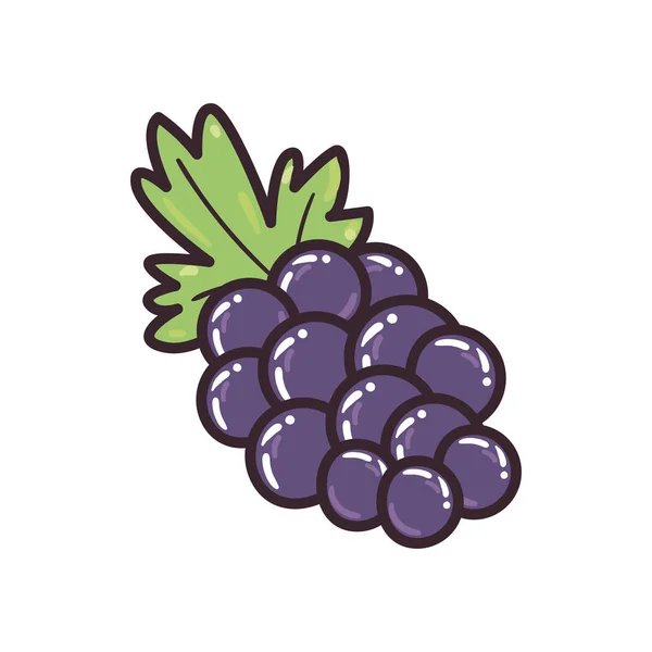 Druiven fruit lijn en vul stijl pictogram vector ontwerp — Stockvector