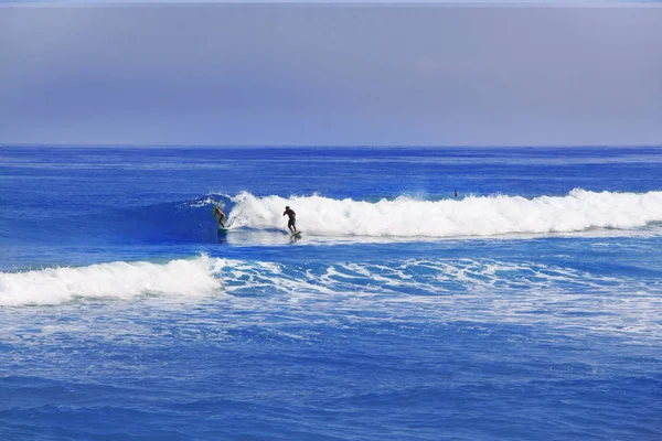 Turisti Surfisti Che Cavalcano Onde Tavole Surf — Foto Stock