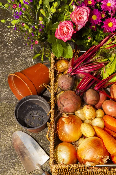健康的な食事と一日5を得るために生活する国の割り当てに野菜や花を栽培する有機ガーデニング ロイヤリティフリーのストック写真