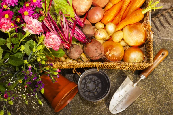 Jardinagem Orgânica Que Cresce Vegetais Flores Colocação Casa Para Alimentação — Fotografia de Stock