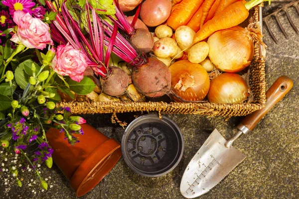 Jardinagem Orgânica Que Cresce Vegetais Flores Colocação Casa Para Alimentação — Fotografia de Stock