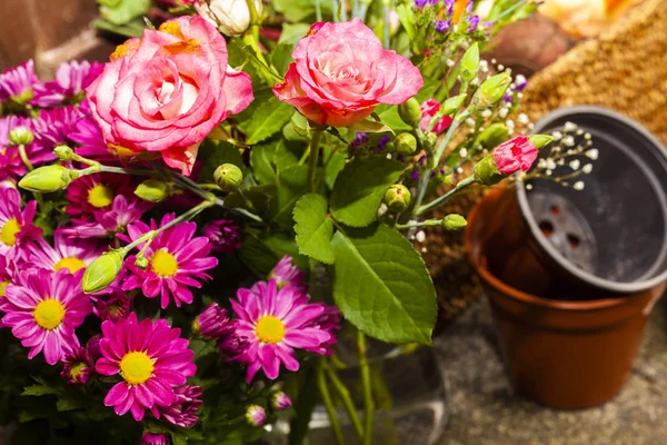 Jardinage Biologique Cultures Légumes Fleurs Sur Allocation Maison Pour Une Images De Stock Libres De Droits