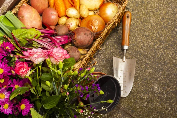 Jardinagem Orgânica Que Cresce Vegetais Flores Colocação Casa Para Alimentação — Fotografia de Stock