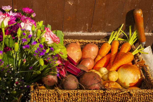 Jardinagem Orgânica Que Cresce Vegetais Flores Colocação Casa Para Alimentação — Fotografia de Stock