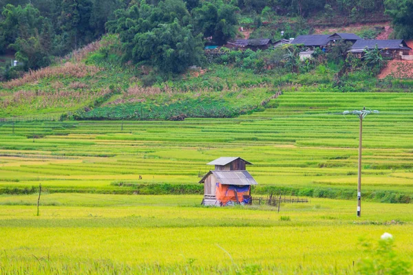Pirinç Teras Evde Güzel Manzarasına Yağmurlu Bir Gün Cang Chai — Stok fotoğraf