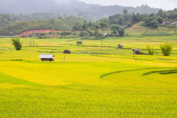 在雨天的稻田 穆仓柴 越南美丽的房子景观 — 图库照片