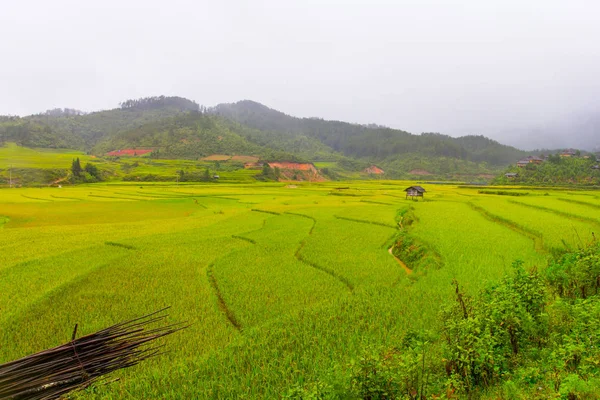 Pirinç Teras Evde Güzel Manzarasına Yağmurlu Bir Gün Cang Chai — Stok fotoğraf