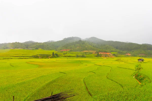 Belle Vue Sur Maison Terrasse Riz Jour Pluie Cang Chai — Photo