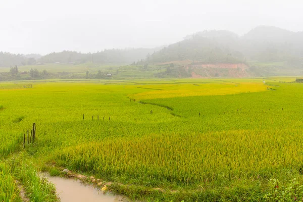 Güzel Manzarasına Pirinç Teras Cang Chai Vietnam — Stok fotoğraf