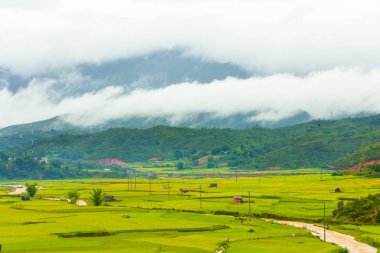 Güzel manzarasına pirinç Teras, mu cang chai, vietnam