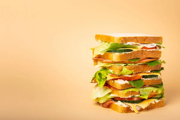 Großaufnahme Von Großen Ganzen Leckeren Sandwich Mit Käse Schinken Schinken — Stockfoto