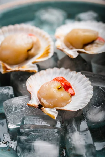 Raw fresh uncooked scallops — Stock Photo, Image