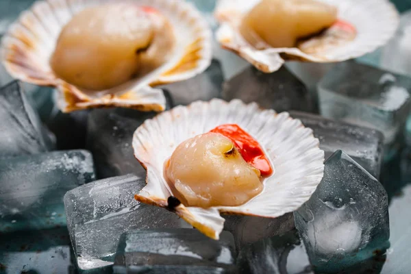 Raw fresh uncooked scallops — Stock Photo, Image