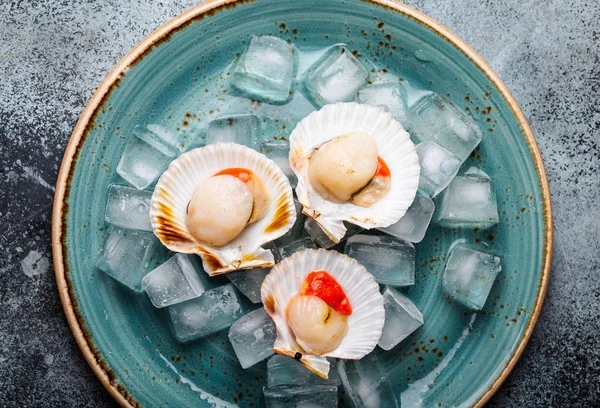 Çiğ taze pişmemiş deniz tarağı