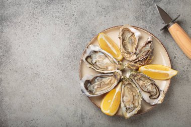 Limon dilimli bir tabağa yerleştirilmiş istiridye, yanında da istiridye bıçağı. Gri arkaplan manzaralı deniz ürünleri sunumu.
