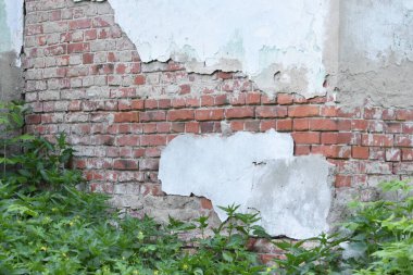 Altında alçı kalıntıları ve yeşil çimenler olan eski tuğla bir duvar.