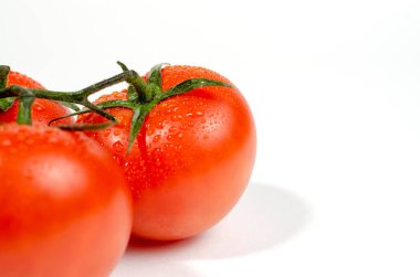 Kırmızı domates filizi beyaz arka planda izole edilir.