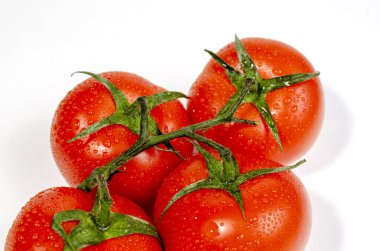 Kırmızı domates filizi beyaz arka planda izole edilir.