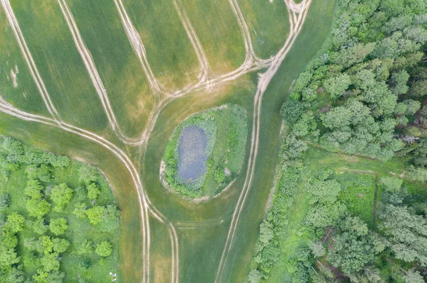 Вид Сверху Высоты Птичьего Полета Природный Пруд Между Сельскохозяйственным Полем — стоковое фото