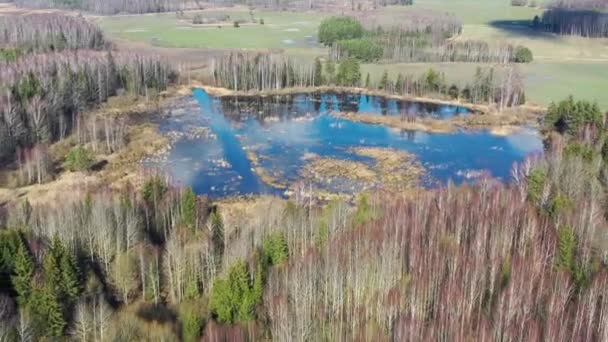 Disparo aéreo que vuela lejos del lago entre el bosque y los campos — Vídeo de stock