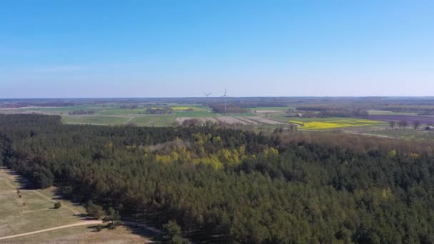 Vista aérea volando sobre bosque de pinos hacia turbinas eólicas — Vídeos de Stock