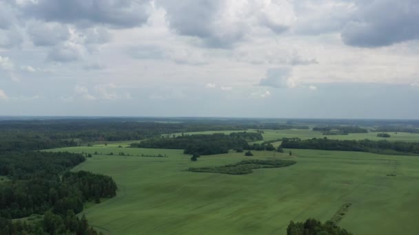 Вид з повітря, що літає над зеленими лісами в оточенні зелених полів сільськогосподарських угідь — стокове відео