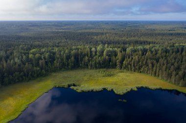 Kangaru Gölü 'nün (Kangaru ezerleri) ve yeşil ormanın havadan görünüşü