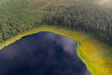 Kangaru Gölü 'nün (Kangaru ezerleri) ve yeşil ormanın havadan görünüşü